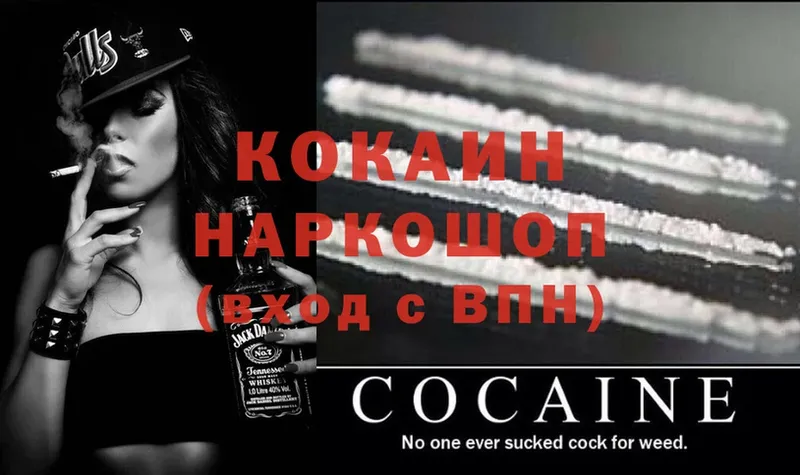 продажа наркотиков  Кириши  Cocaine Fish Scale 